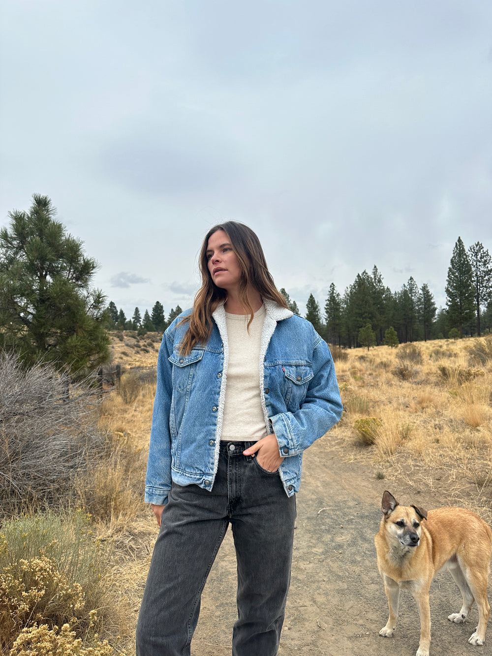 Vintage Levi's Sherpa Denim Trucker Jacket